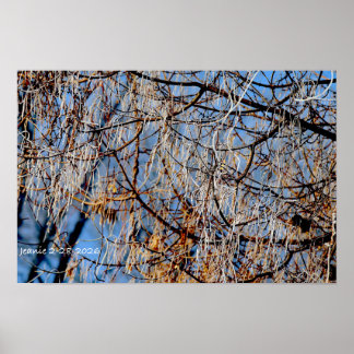 Wintervorstboom Poster