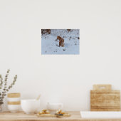 Wintervos Poster (Keuken)