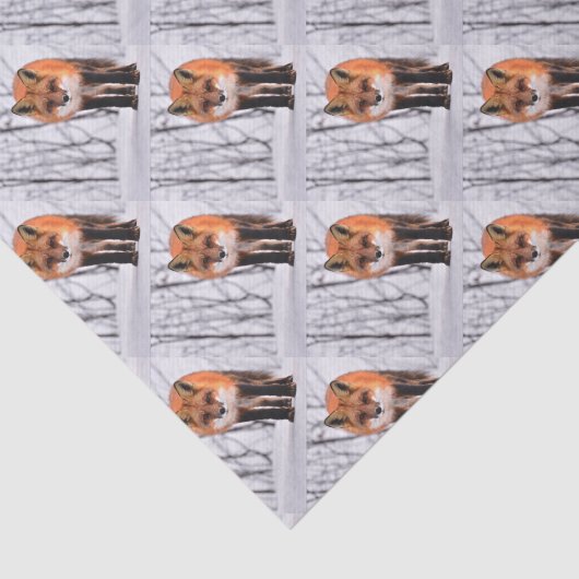 wintervossenpakpapier, cadeauverpakking voor bos tissuepapier (Detail)