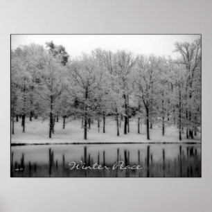 Wintervrede Poster