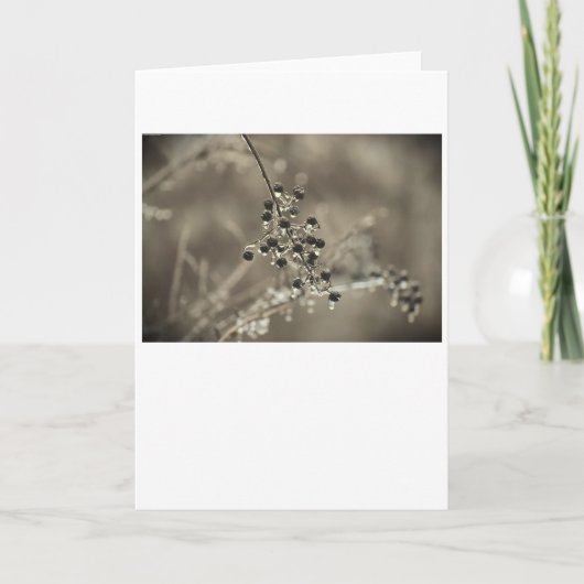 Wintervries, kaart (Voorkant)