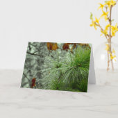 Wintervries, kaart (Gele Bloem)