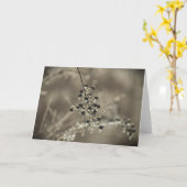 Wintervries, kaart (Gele Bloem)