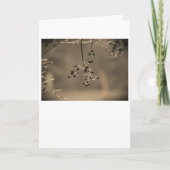 Wintervries, kaart (Voorkant)