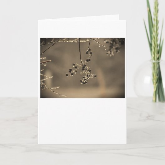 Wintervries, kaart (Voorkant)