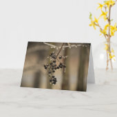 Wintervries, kaart (Gele Bloem)