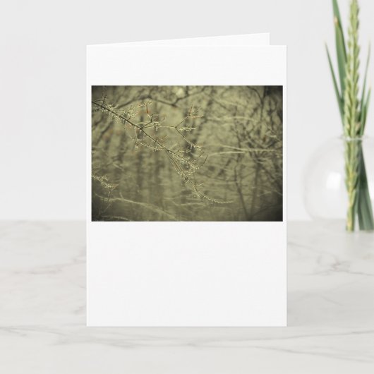 Wintervries, kaart (Voorkant)