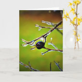 Wintervries, kaart (Gele Bloem)