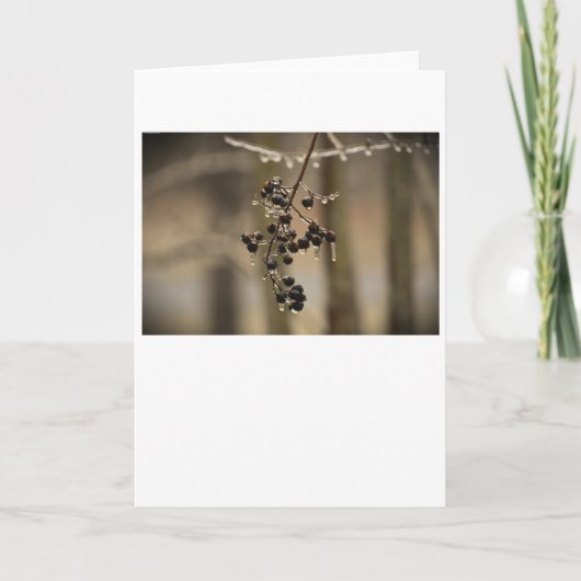 Wintervries, kaart (Voorkant)