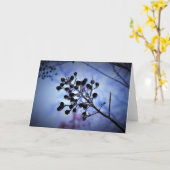 Wintervries, kaart (Gele Bloem)