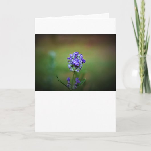 Wintervries, kaart (Voorkant)