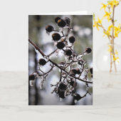 Wintervries, kaart (Gele Bloem)