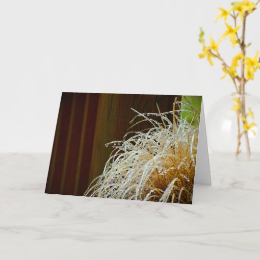 Wintervries, kaart (Gele Bloem)