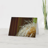 Wintervries, kaart (Voorkant)