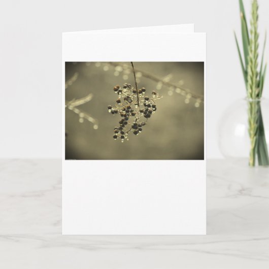 Wintervries, kaart (Voorkant)