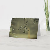 Wintervries, kaart (Voorkant)