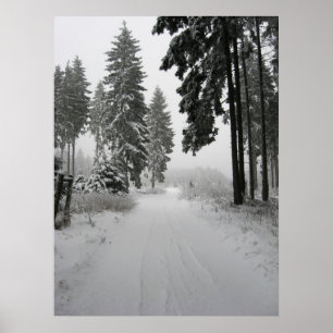 winterwald poster