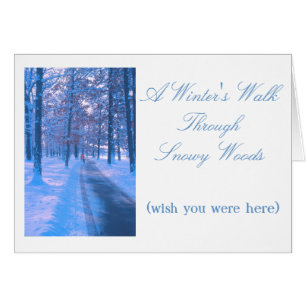 "WINTERWANDELING IN BESNEEUWDE BOSSEN"
