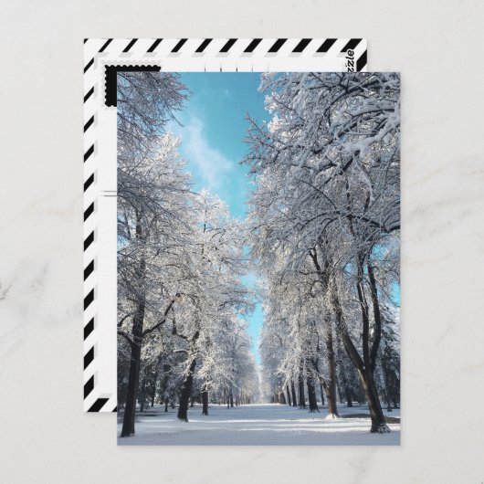 winterwandeling in het park briefkaart (Voorkant / Achterkant)