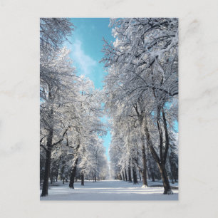 winterwandeling in het park briefkaart