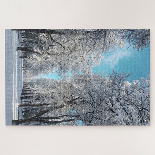 winterwandeling in het park legpuzzel (Horizontaal)