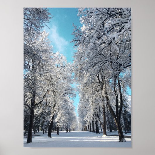 winterwandeling in het park poster (Voorkant)