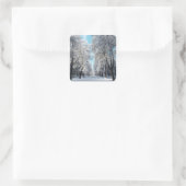 winterwandeling in het park vierkante sticker (Tas)