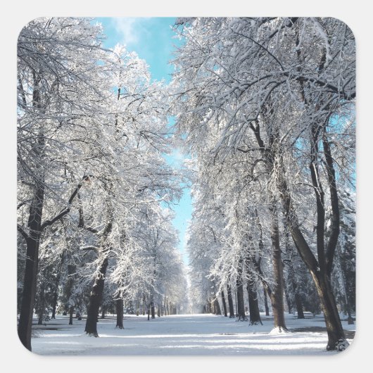 winterwandeling in het park vierkante sticker (Voorkant)