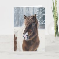 Winterwarmte – Watercolor kaart van IJslands paard