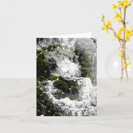 Winterwaterval...... Kaart (Gele Bloem)