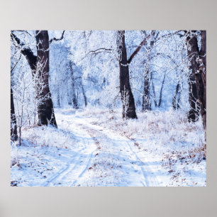 Winterweg Poster