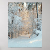 Winterweg Poster (Voorkant)