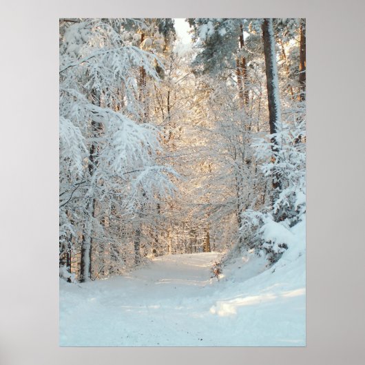 Winterweg Poster (Voorkant)