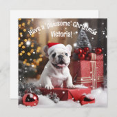  winterwhiskers Wonderland (Voorkant / Achterkant)