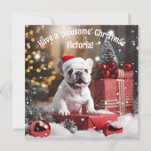  winterwhiskers Wonderland (Voorkant)