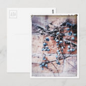 Winterwijn en bessen briefkaart (Voorkant / Achterkant)