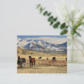 Winterwind Briefkaart (Staand voorkant)