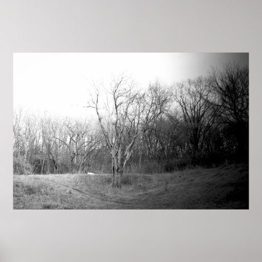 Winterwind Poster (Voorkant)