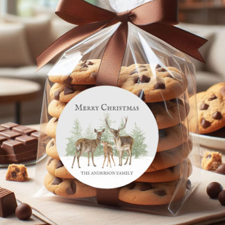 Winterwinter winter pretkerst ronde sticker