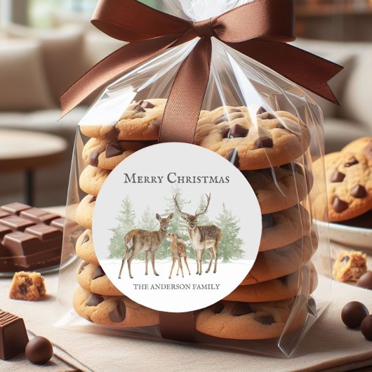 Winterwinter winter pretkerst ronde sticker