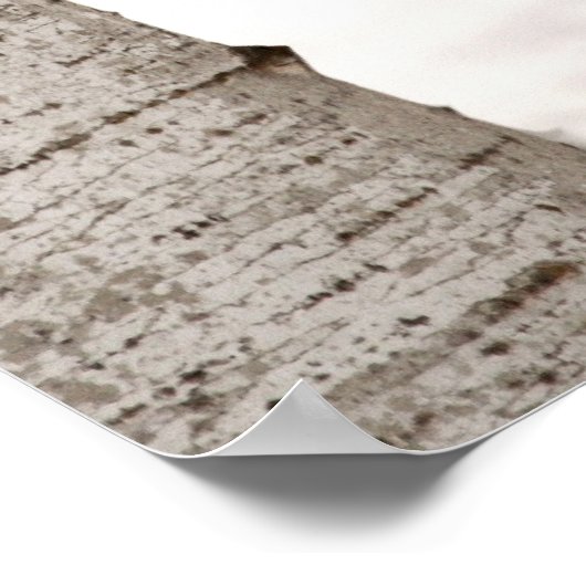 Winterwolf Poster (Hoek)