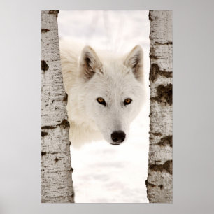 Winterwolf Poster