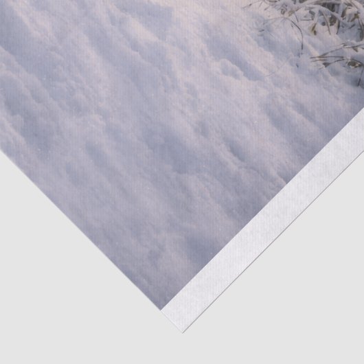 Winterwolf Tissuepapier (Detail)