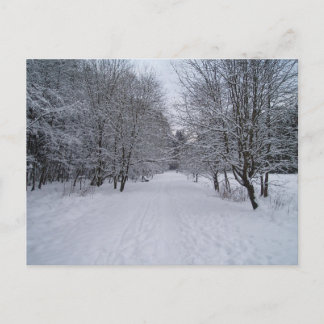 Winterwonderland Briefkaart