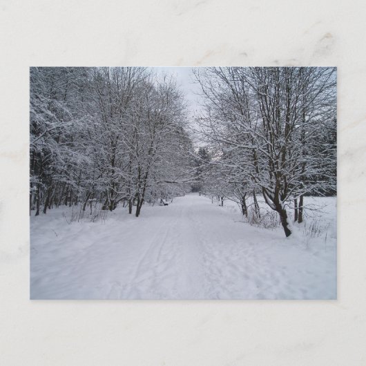 Winterwonderland Briefkaart (Voorkant)