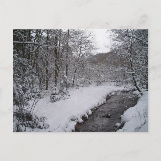 Winterwonderland Briefkaart (Voorkant)