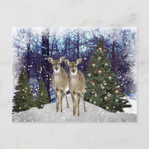 Winterwonderland herten en kerstboom kerstkaart briefkaart