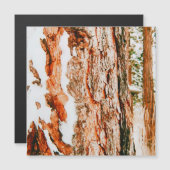 Winterwonderland in Bend - Oregon (Voorkant / Achterkant)