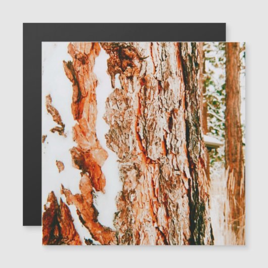 Winterwonderland in Bend - Oregon (Voorkant / Achterkant)