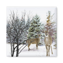 Winterwonderland met witstaartherten koelkast